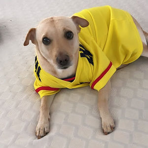 Meet your Posher, Aura